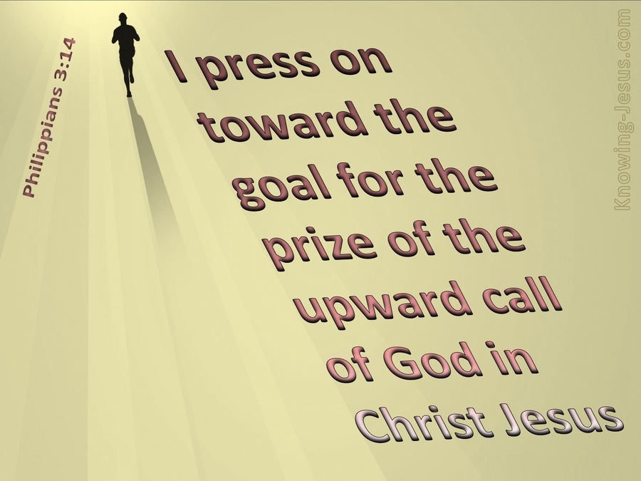 Philippians 3:14 I Press Towards The Goal (pink)